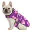 Ducks Purple Dog Raincoat with Clear Hood