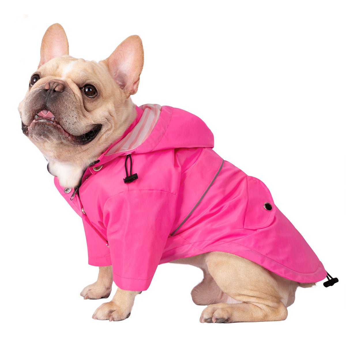 Side view of a dog wearing the pink hooded zip-up raincoat with a striped hood lining