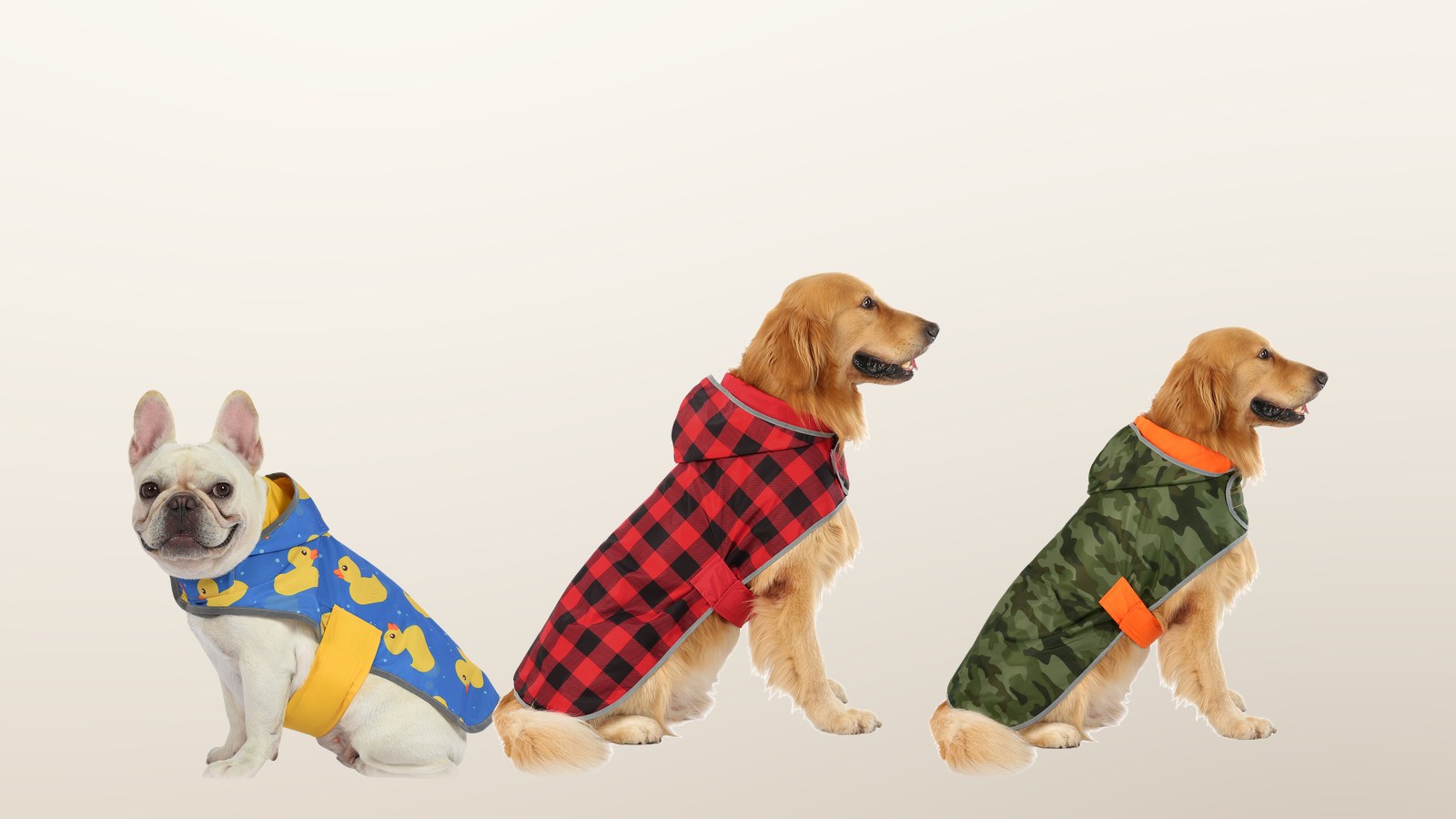 Dog Raincoat Size Guide: Small Through XXX-Large