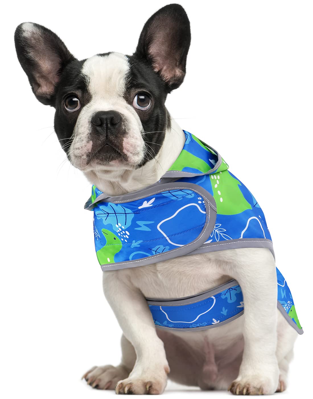 Dinosaur Dog Raincoat Clear Hood Waterproof – front view