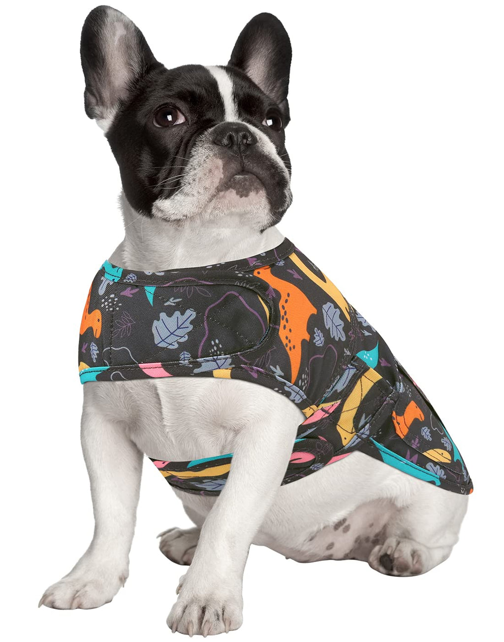 Dog Rain Coat - HDE - view 11