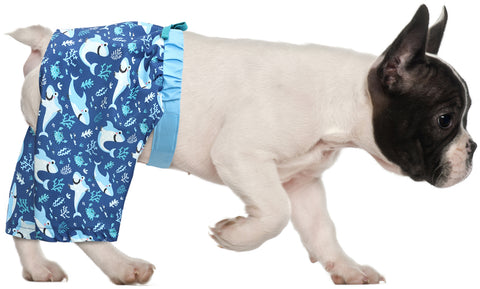 HDE Dog Swim Trunks for XS to XXL Dogs