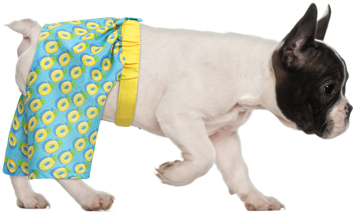 HDE Dog Swim Trunks for XS to XXL Dogs