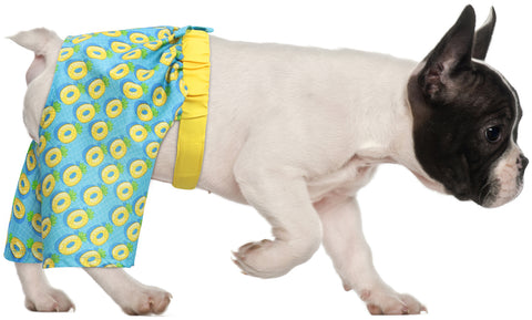 HDE Dog Swim Trunks for XS to XXL Dogs