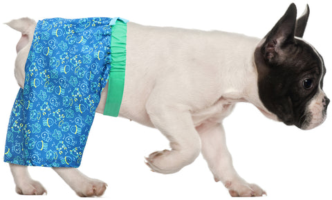 HDE Dog Swim Trunks for XS to XXL Dogs
