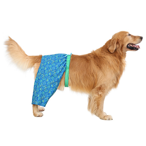 HDE Dog Swim Trunks for XS to XXL Dogs