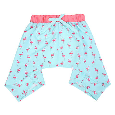 HDE Dog Swim Trunks for XS to XXL Dogs