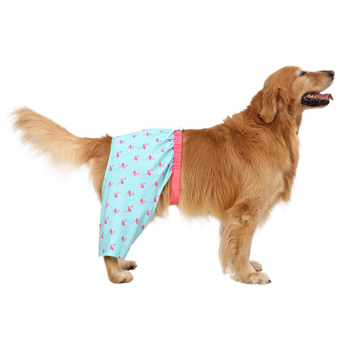HDE Dog Swim Trunks for XS to XXL Dogs