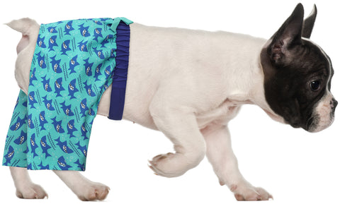 HDE Dog Swim Trunks for S to XXL Dogs