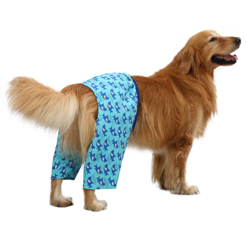 HDE Dog Swim Trunks for XS to XXL Dogs