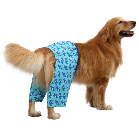 HDE Dog Swim Trunks for S to XXL Dogs