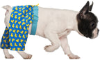 HDE Dog Swim Trunks for XS to XXL Dogs