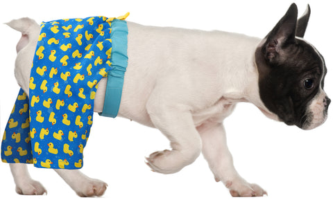 HDE Dog Swim Trunks for S to XXL Dogs