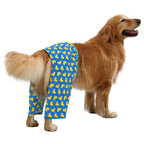 HDE Dog Swim Trunks for XS to XXL Dogs