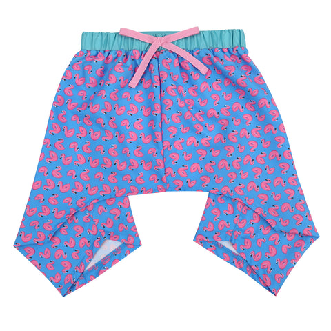 HDE Dog Swim Trunks for S to XXL Dogs