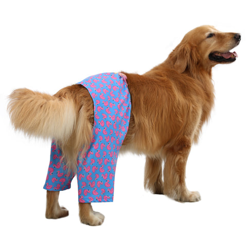 HDE Dog Swim Trunks for S to XXL Dogs