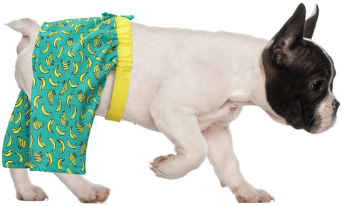 HDE Dog Swim Trunks for S to XXL Dogs