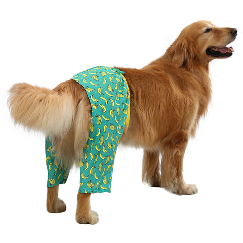 HDE Dog Swim Trunks for S to XXL Dogs