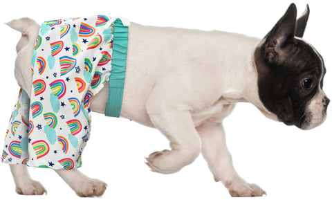 HDE Dog Swim Trunks for S to XXL Dogs