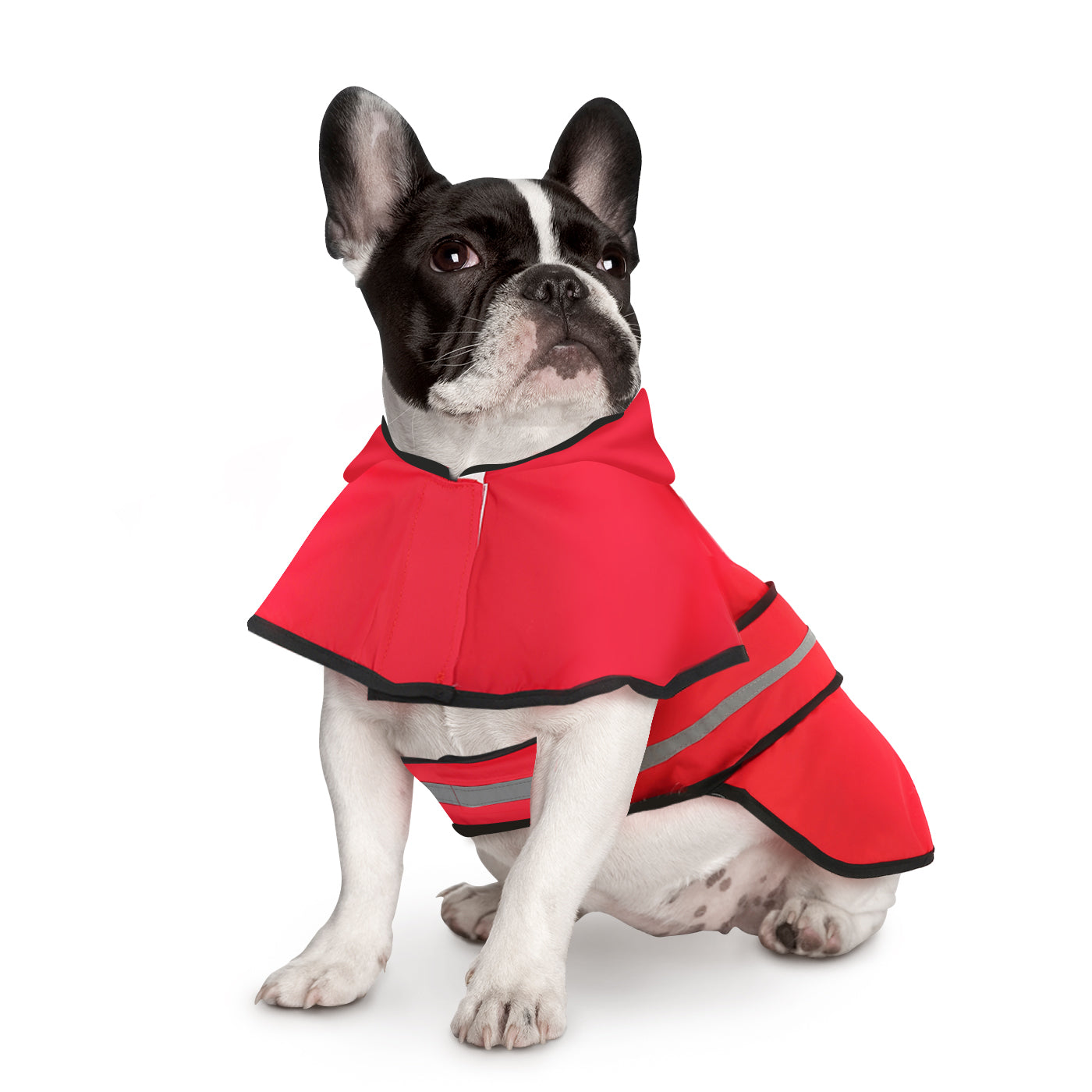 Dog Raincoat with Hood Main image