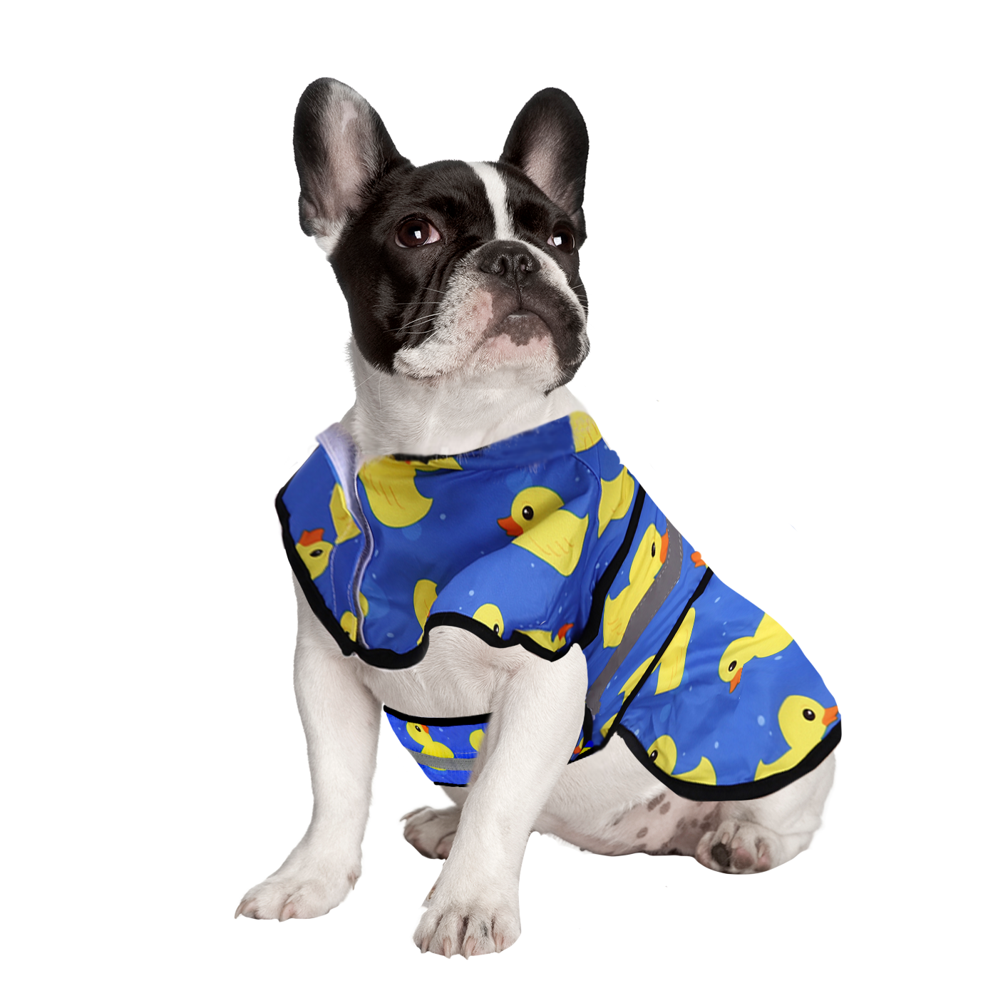 Patterned Dog Raincoat with Hood Secondary image