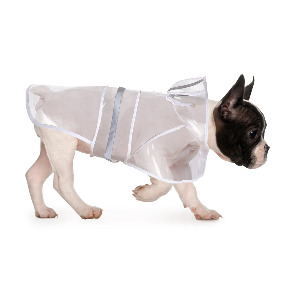Dog Raincoat with Hood