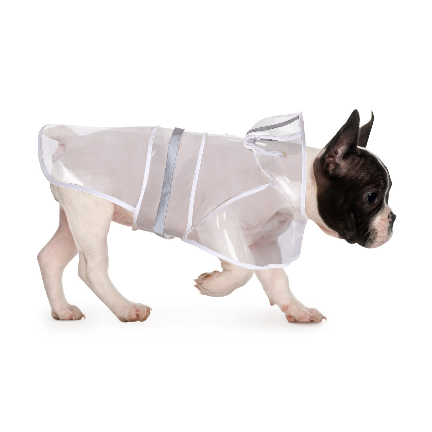 Dog Raincoat with Hood