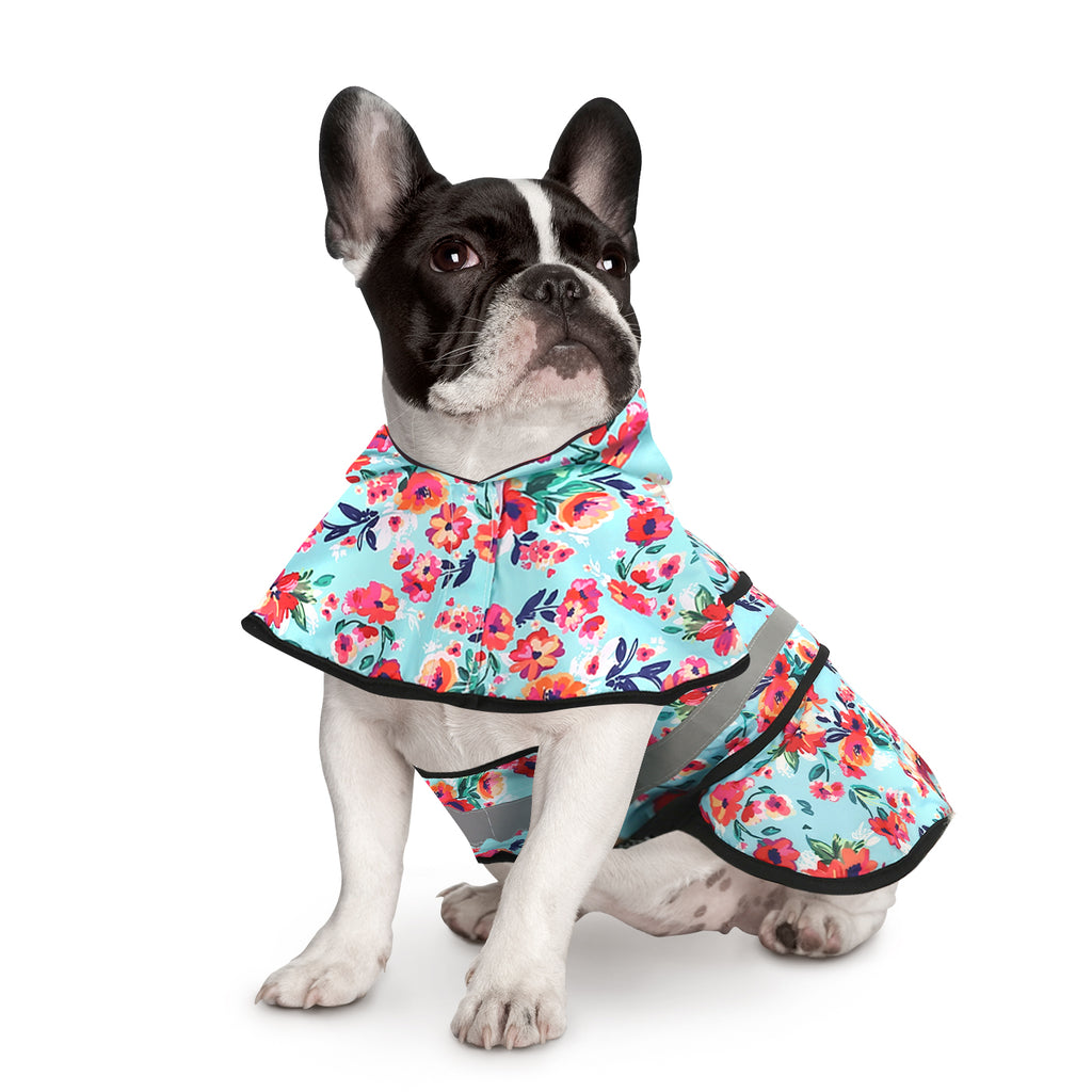 Dog Raincoat with Hood