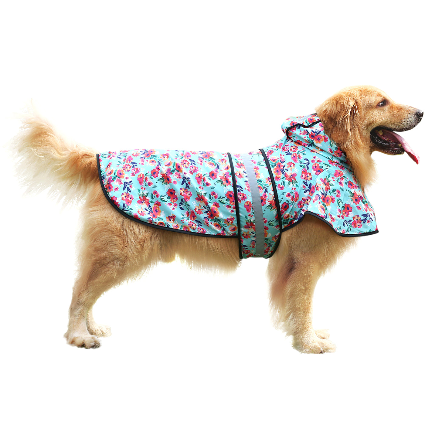 Dog Raincoat with Hood
