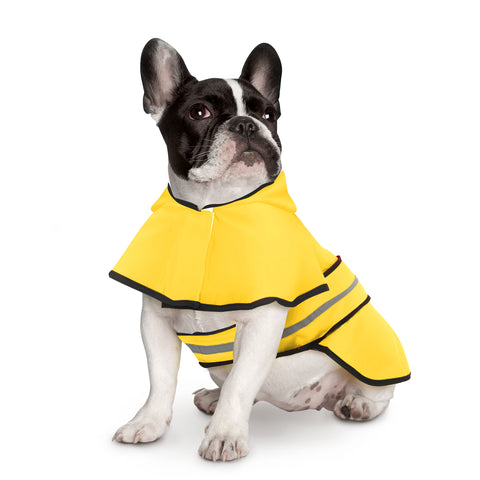 Dog Raincoat with Hood