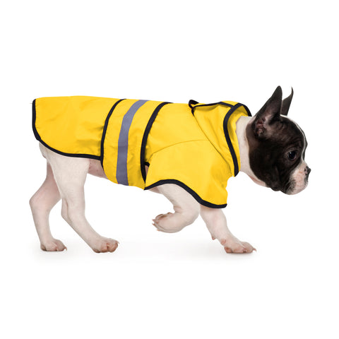 Dog Raincoat with Hood