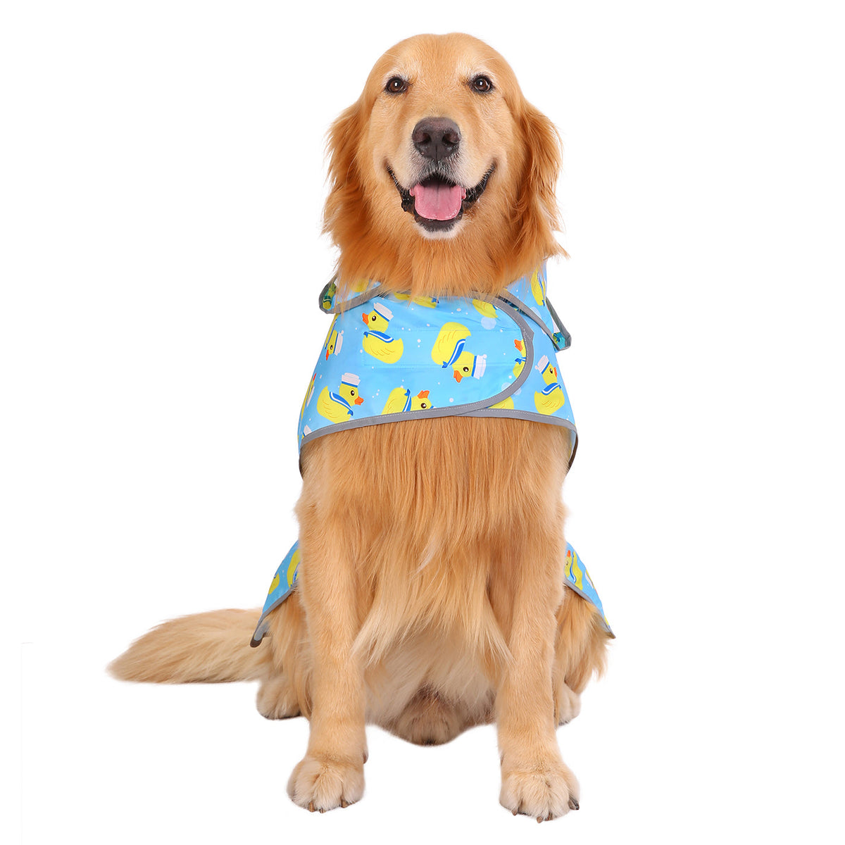 Blue Sailor Duck Dog Raincoat Clear Hood – close-up detail