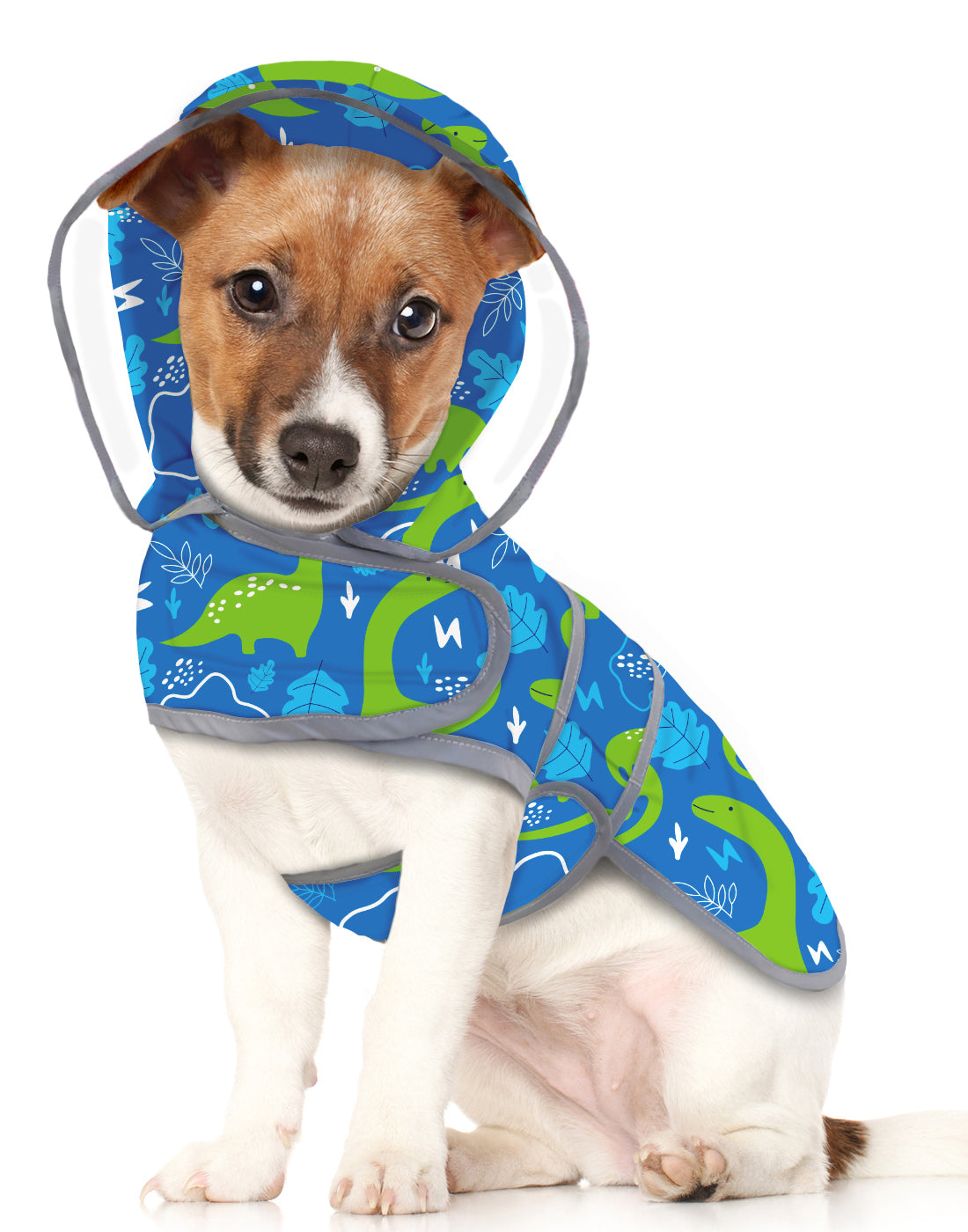 Dinosaur Dog Raincoat Clear Hood Waterproof in Dinosaurs Main image