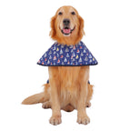 Patterned Dog Raincoat with Hood