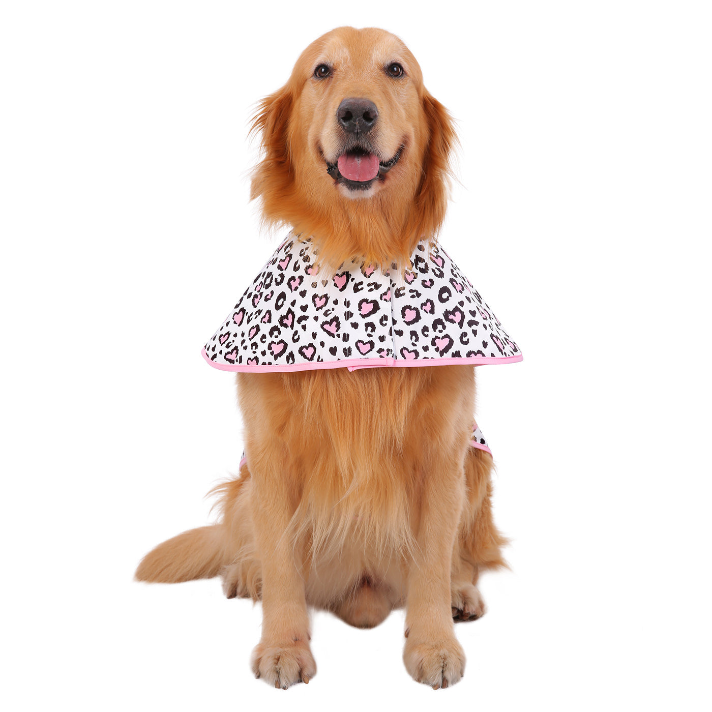 Patterned Dog Raincoat with Hood