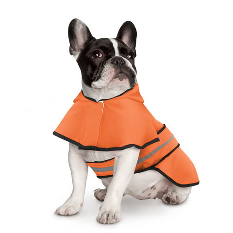 Dog Raincoat with Hood