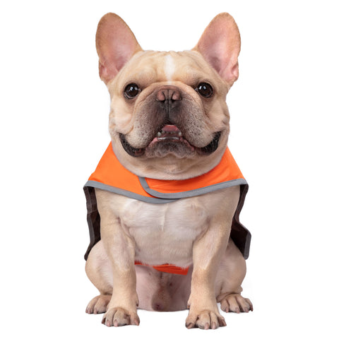 Reversible Orange & Camo Dog Raincoat with Hood