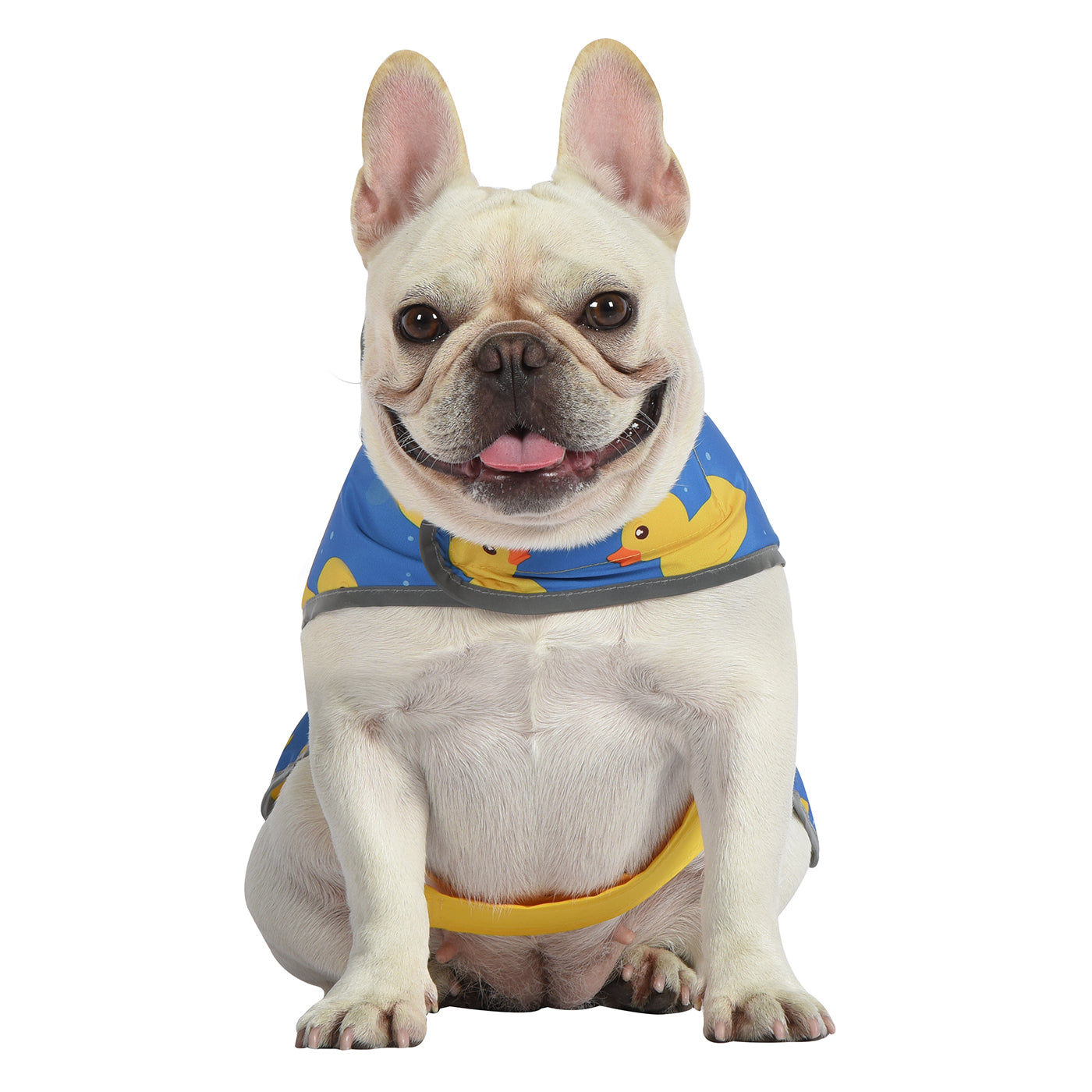 Reversible Yellow & Ducks Dog Raincoat with Hood
