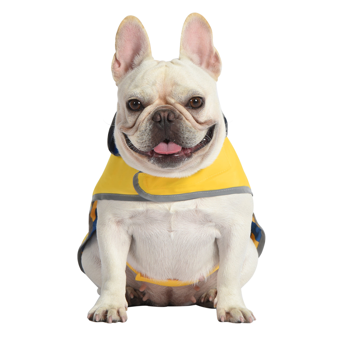Reversible Yellow & Ducks Dog Raincoat with Hood