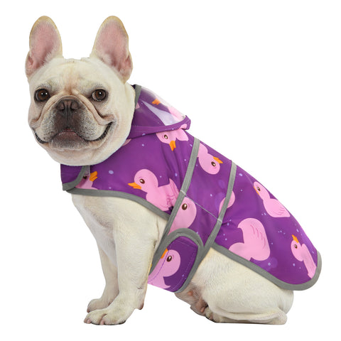 Ducks Purple Dog Raincoat with Clear Hood