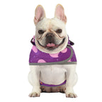 Ducks Purple Dog Raincoat with Clear Hood