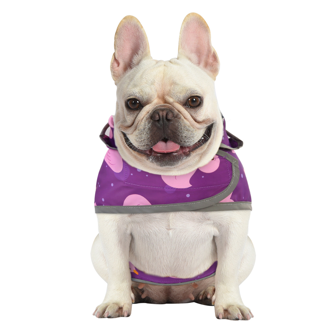 Ducks Purple Dog Raincoat with Clear Hood