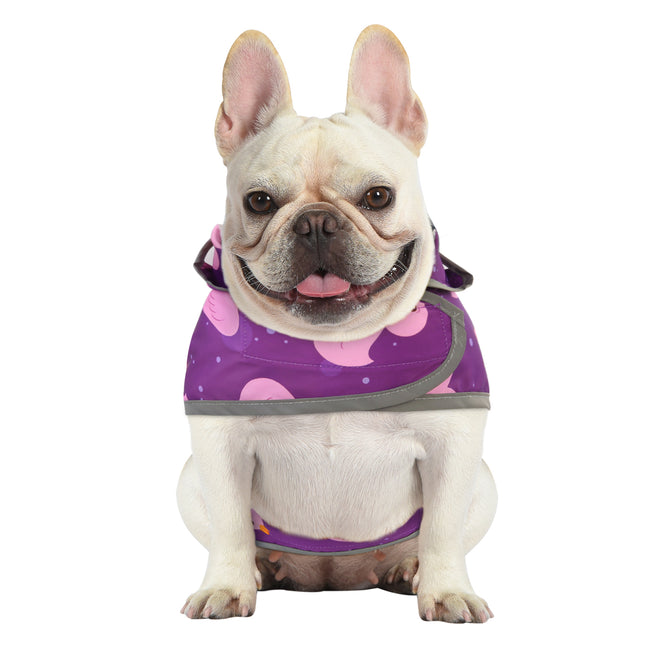 Purple Duck Dog Raincoat Clear Hood – back view