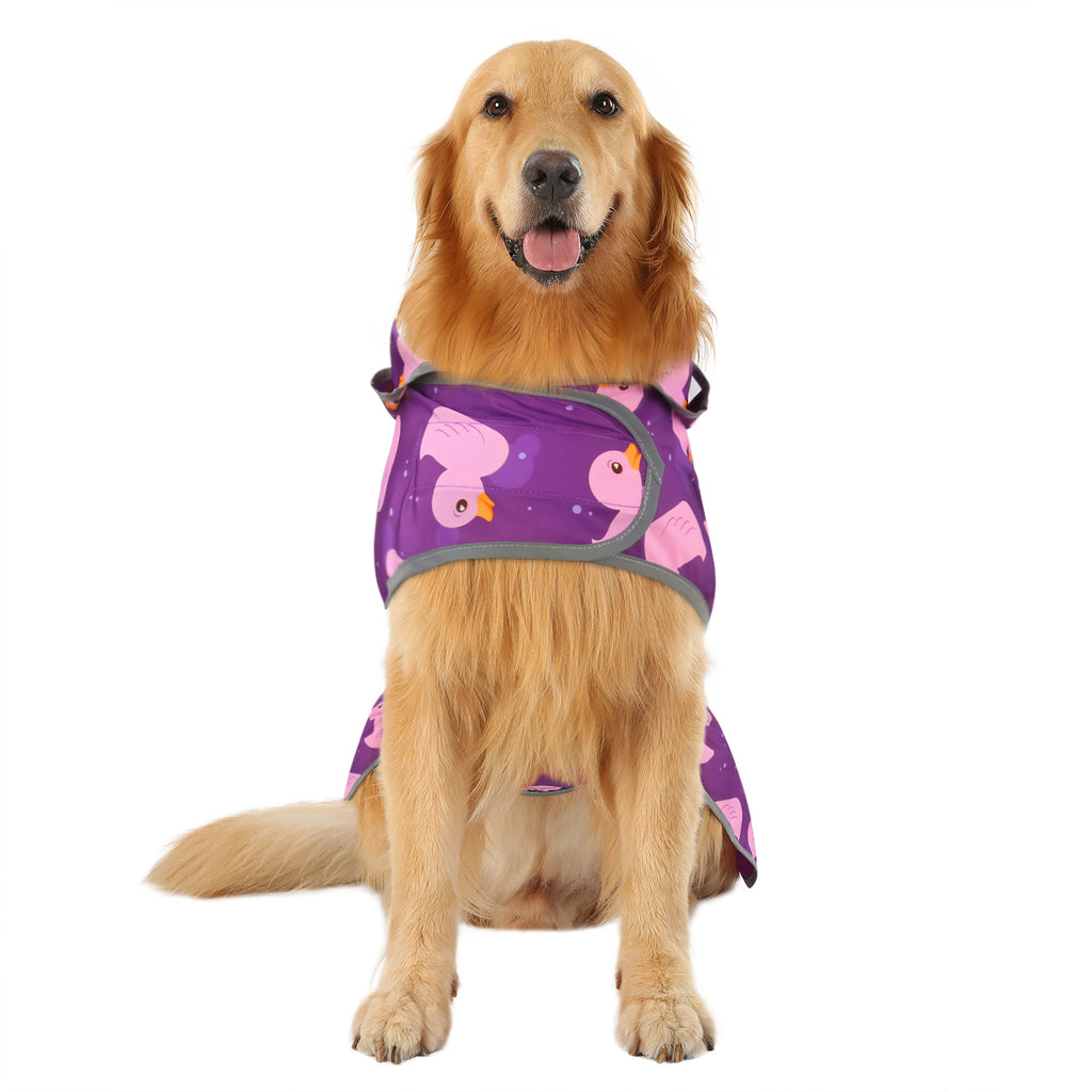 Ducks Purple Dog Raincoat with Clear Hood