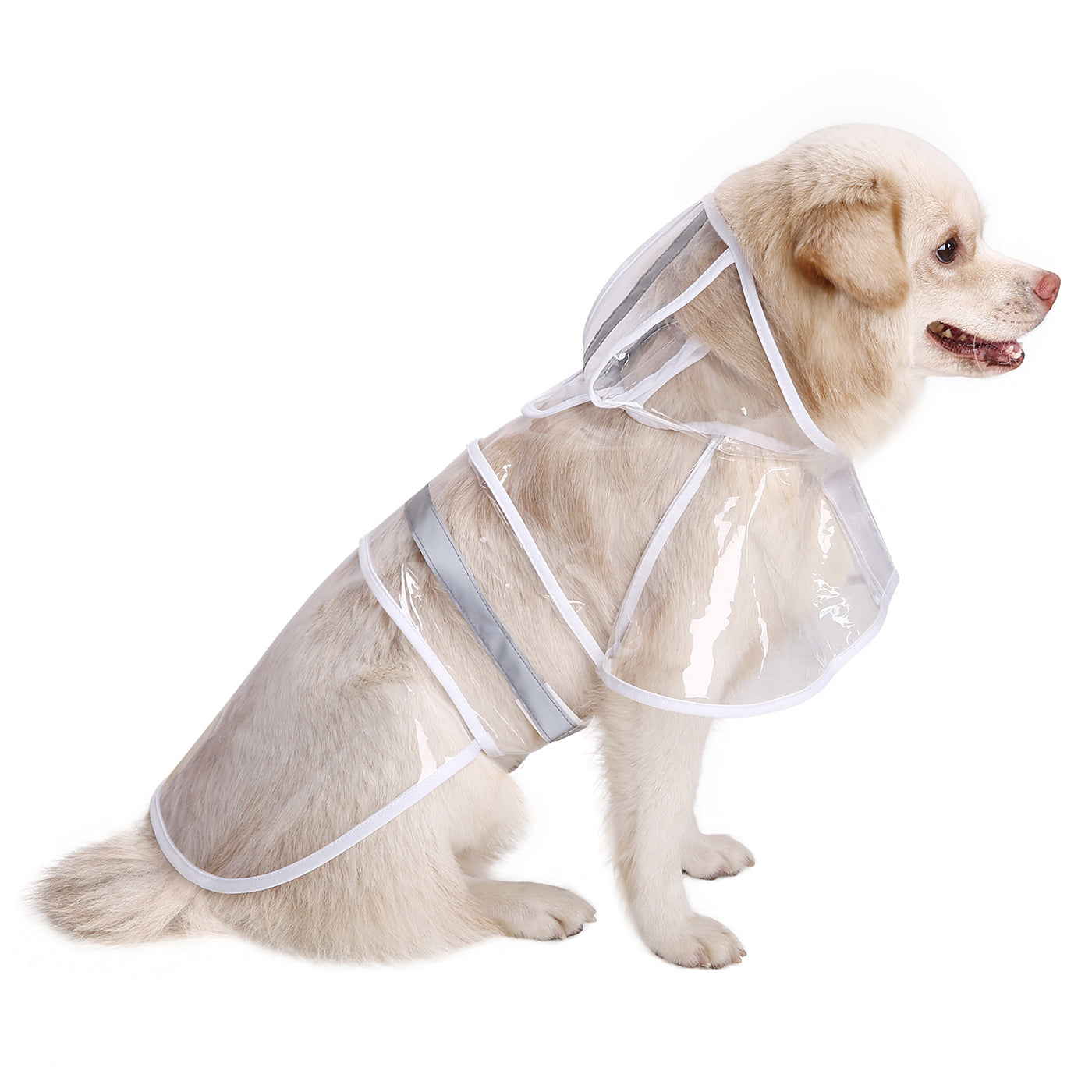 Dog Raincoat with Hood