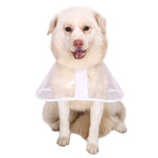 Dog Raincoat with Hood