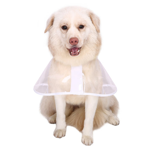 Dog Raincoat with Hood