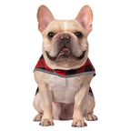 Reversible Red & Buffalo Plaid Dog Raincoat with Hood