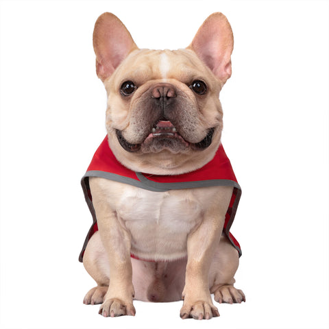Reversible Red & Buffalo Plaid Dog Raincoat with Hood