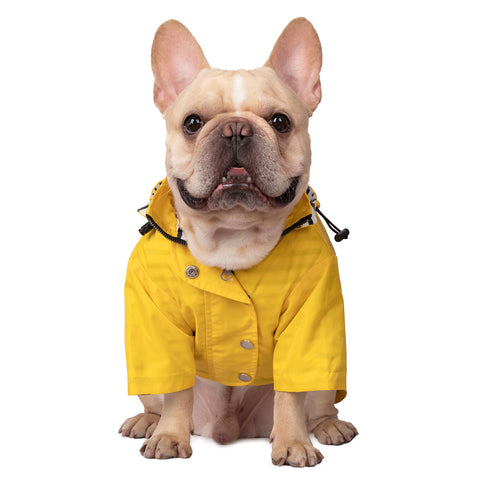 Double Layer Zip Up Dog Raincoat with Hood